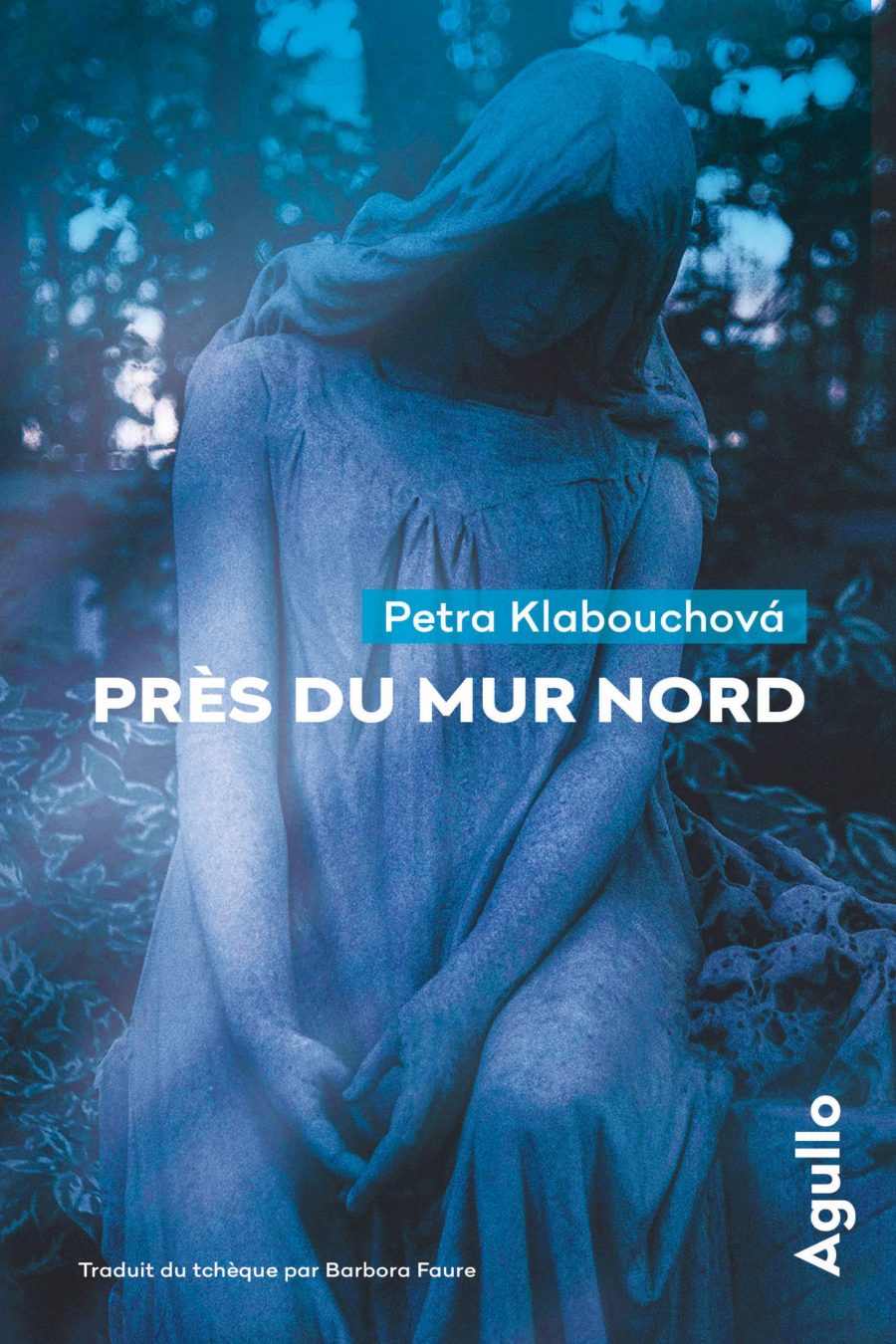 Couverture Près du mur nord